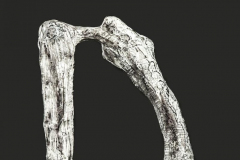 Jolante (Detail)